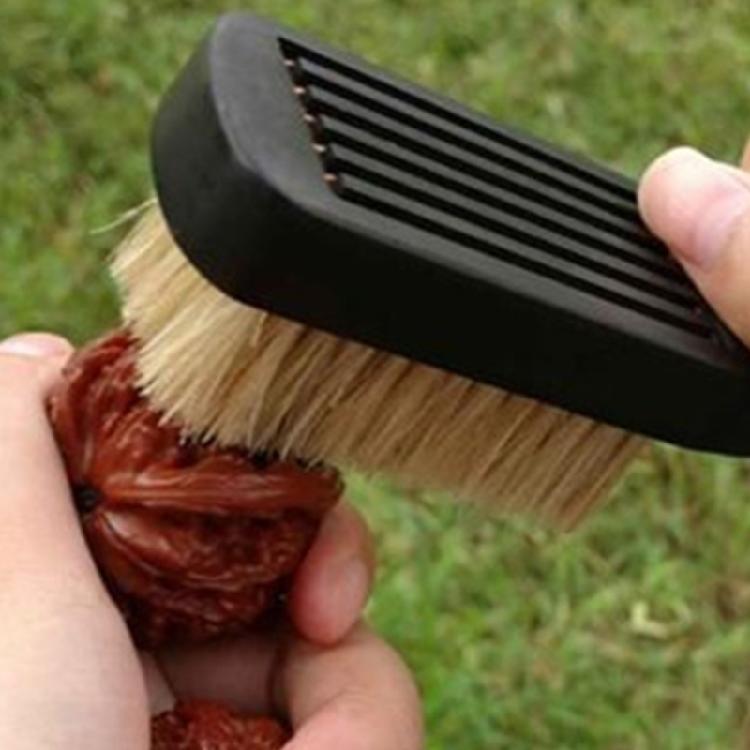 8pcs Wire Brush Cleaning Brushes Assortment For Rusts Removal Grimes Scraping And Detailed Surfaces Workshop Tasks