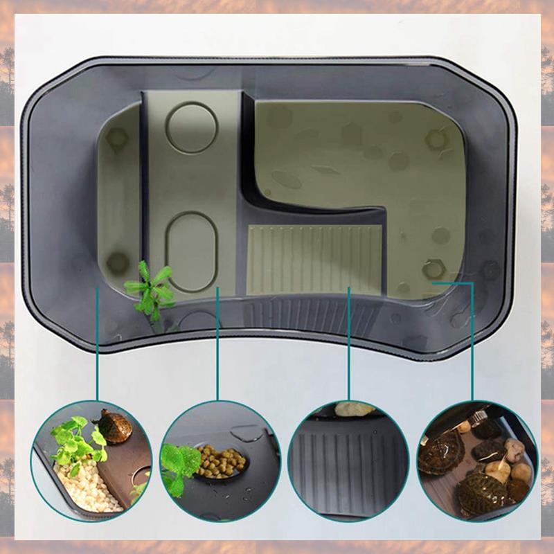 2025 Trend 2X Offenes Schildkrötenbecken mit Terrasse Wasserschildkrötenbox Brasilianische Schildkröte Schildkrötenbecken