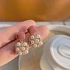 Japanese and Korean Design Sense Fashion Cute Fruit Earrings Female Creative Girl Heart Sweet Cool Stud Earrings Versatile Personality Trendy Earrings