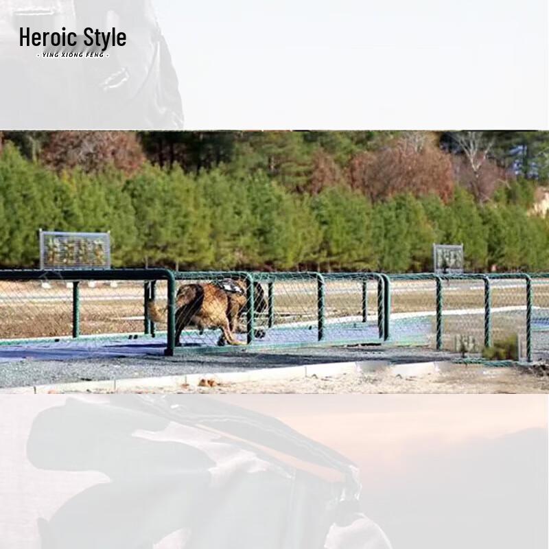 K9 Obstacle Crawling Training Net