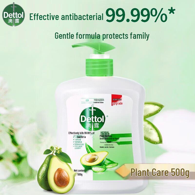 Dettol Antibacterial Hand Wash Twin Pack: Plant Care & Classic Pine