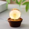 Dandelion Crystal Ball Night Light with 3D Carving and Solid Wood Base