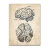 Wandbilder für Krankenhaus, Arzt, Büro, Dekor, Wandkunst, Leinwand, Malerei, Anatomie, Skelett, nordische Poster und Drucke, Vintage
