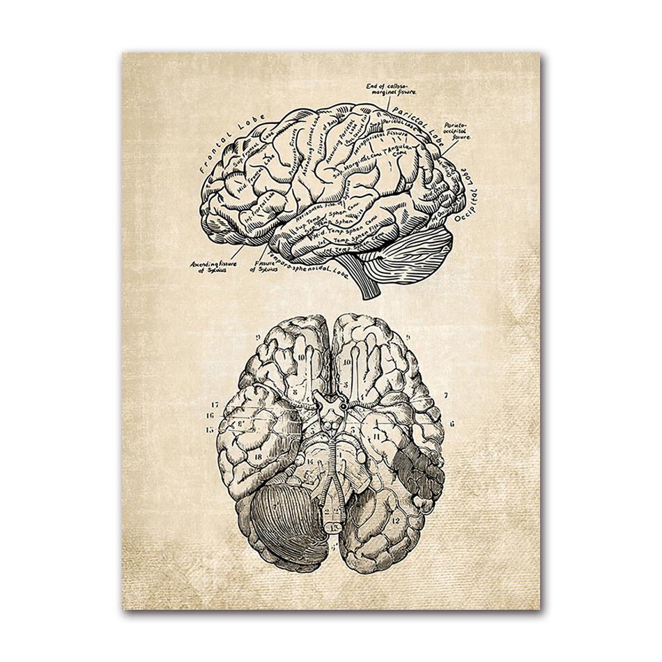 Wandbilder für Krankenhaus, Arzt, Büro, Dekor, Wandkunst, Leinwand, Malerei, Anatomie, Skelett, nordische Poster und Drucke, Vintage