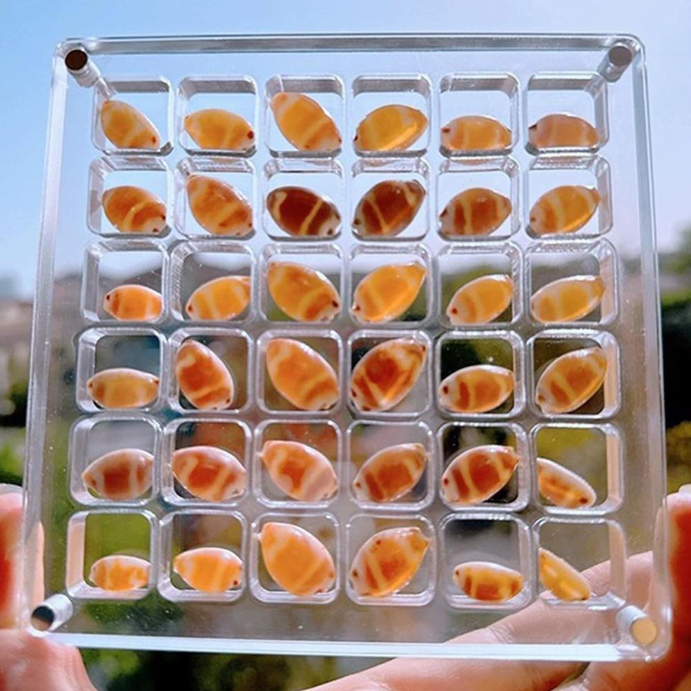 36/64/100 Grids Acrylic Seashell Display Box Case Clear Magnetic Storage Box Small Craft Container for Bead Nail Jewelry Holder