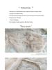 Fairy Forest Lace Floral Spaghetti Strap Summer 2026 Women's Two-Piece Beach Vacation Dress