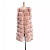 Fur Outer Vest New Autumn and Winter Clothing Women's Fashion Casual Imitation Fox Hair Light Luxury Thermal Vest