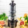 KLAUSBERG KB-7871 VERTICAL SLOW JUICER
