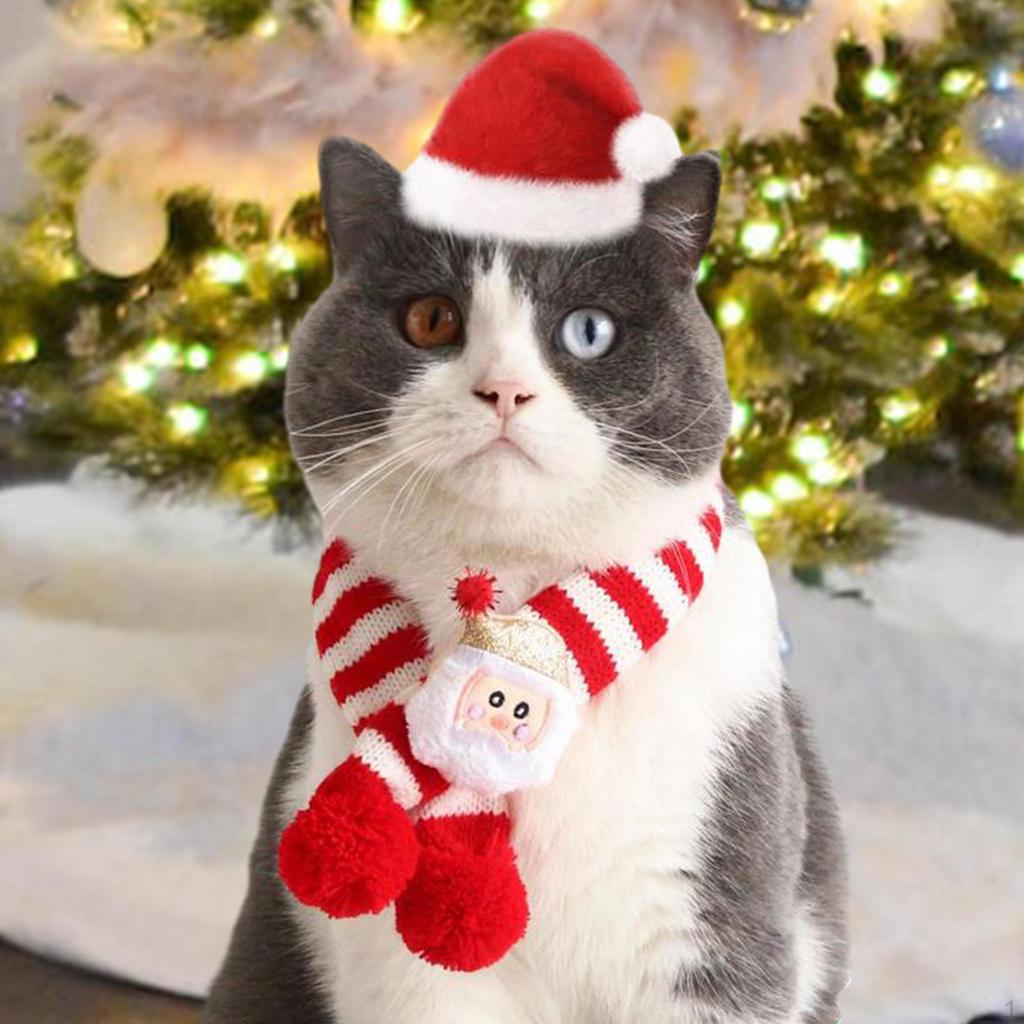 Festive Pet Neckwear - Stylish Winter Accessory for Dogs and Cats