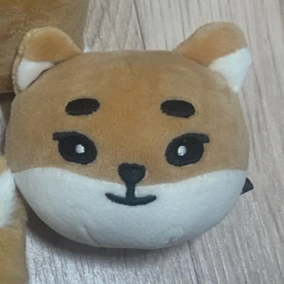 

Я продаю антистрессовые мячики Day6 Denimals K