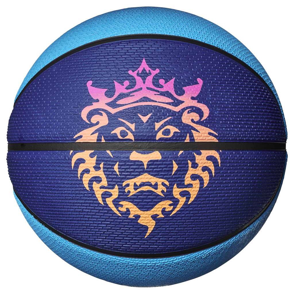 Nike Rubber Basketball Blue Purple Size 7 Training Competition Unisex 437242-607