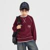 Boys' Fashion Color Block Pullover Sweatshirt