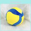Plush Volleyball Toy With Soft Pp Cotton For Sports Fans And Kids