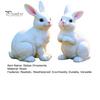 Cute Bunny Figurine 2Pcs Realistic White Rabbit Garden Statues, Weatherproof Resin Sculpture for Yard Bonsai Decoration Patio, Animal Ornament,