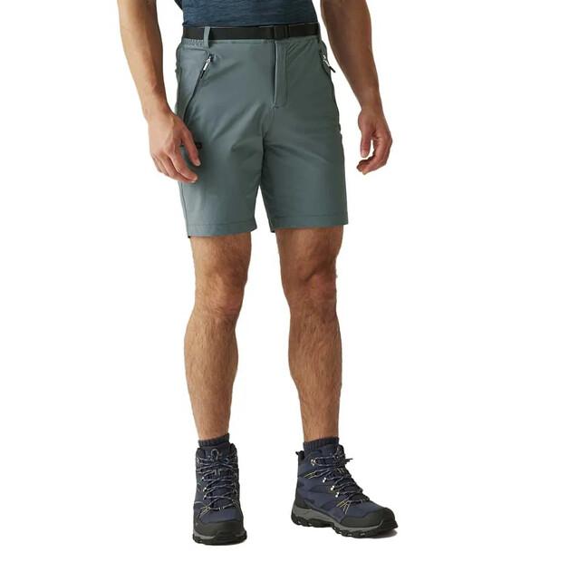 

Regatta Шорты Xert Stretch III GERM54