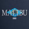 Kith Malibu Palm Hoodie Nocturnal Men Tops Blue KHM031500-413