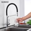 Filter Kitchen Faucet Black Dual Spout Drinking Water Faucet Mixer 360 Degree Rotation Hot Cold Water Purification Feature Tap