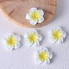 Frangipani Harzblume DIY Schmuck: Schlüsselanhänger, Anhänger, Haarspangen und Aufnäher