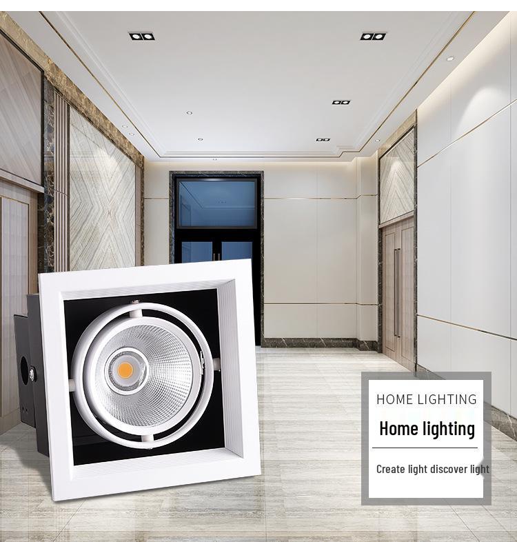 Adjustable Double-Head LED Eyeball Spotlight for Retail Stores