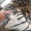 50x160cm Artificial Plush Cloth Tiger Pattern Artificial Fur Fabric for Performance DIY Sewing Background Carpet Cushion Materia