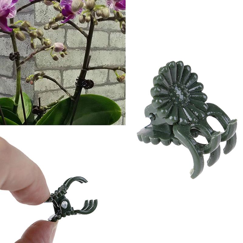 50Pcs Plant Fix Clips Orchid Stem Vine Support Flowers Tied Branch Clamping
