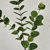 Artificial Eucalyptus Flowers 3-Branch Faux Greenery for Wedding Decor And Home Vase Arrangements Realistic 3D Printed Leaves Evergreen All Season