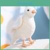 Plush White Pigeon Figurine Soft Toy With Pp Cotton Filling For Kids And Teens