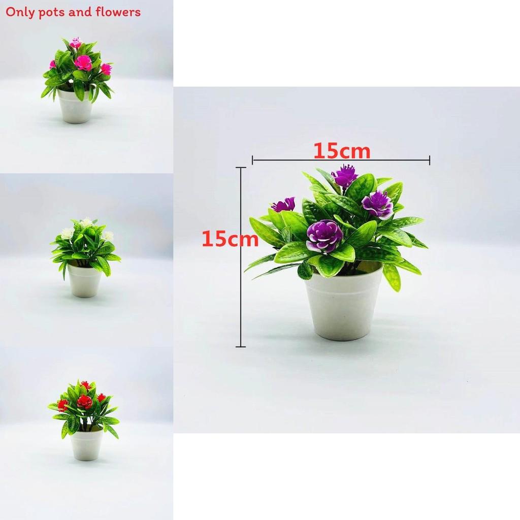 Plastic Botanical Decor With Myrica Rubra Leaf For Indoor Plant Display And Gifts