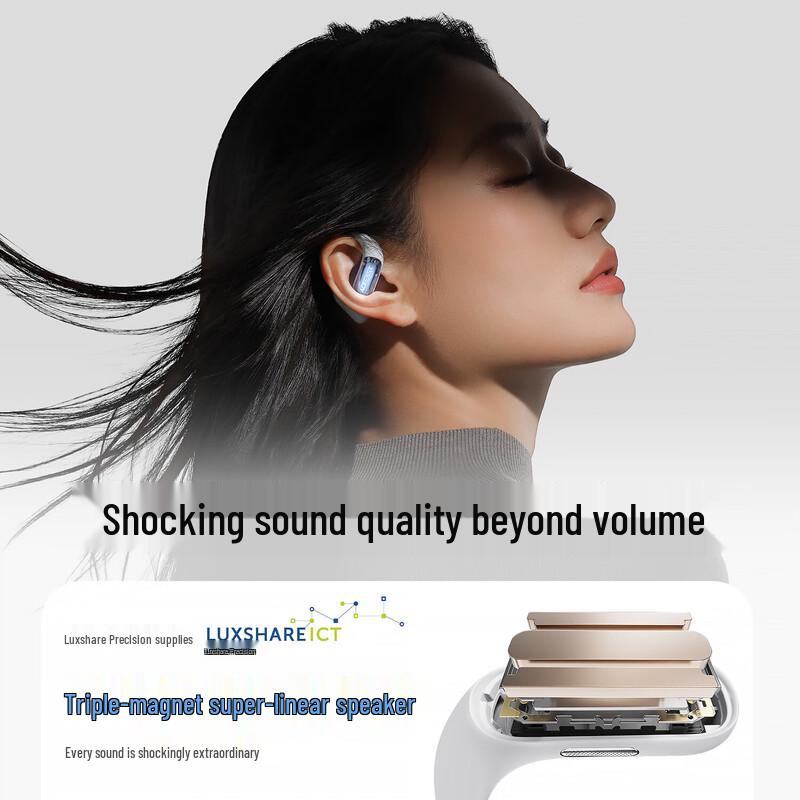 ACEFAST ACEFIT Pro Wireless Ear-Hook Sport Earbuds