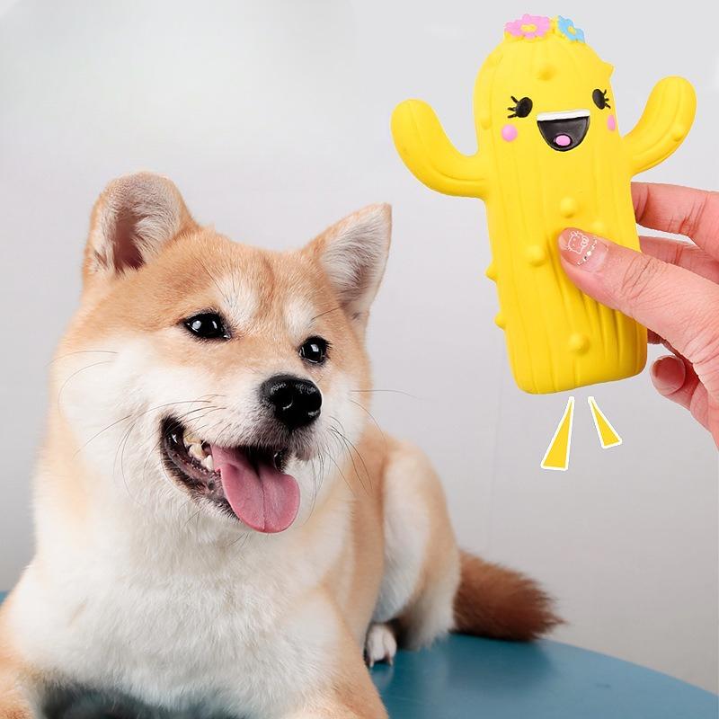 Haustierspielzeug Latex Geräuscherzeugender Kaktus Beißspielzeug Zur Linderung von Langeweile Realistischer Blumenkaktus Hundespielzeug