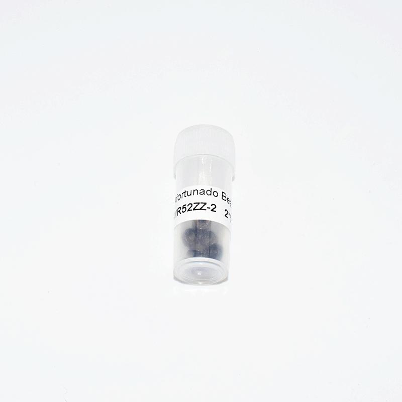 MR52-2 Miniatur chrom stahl Lager 10 Stück 2*5*2(mm)