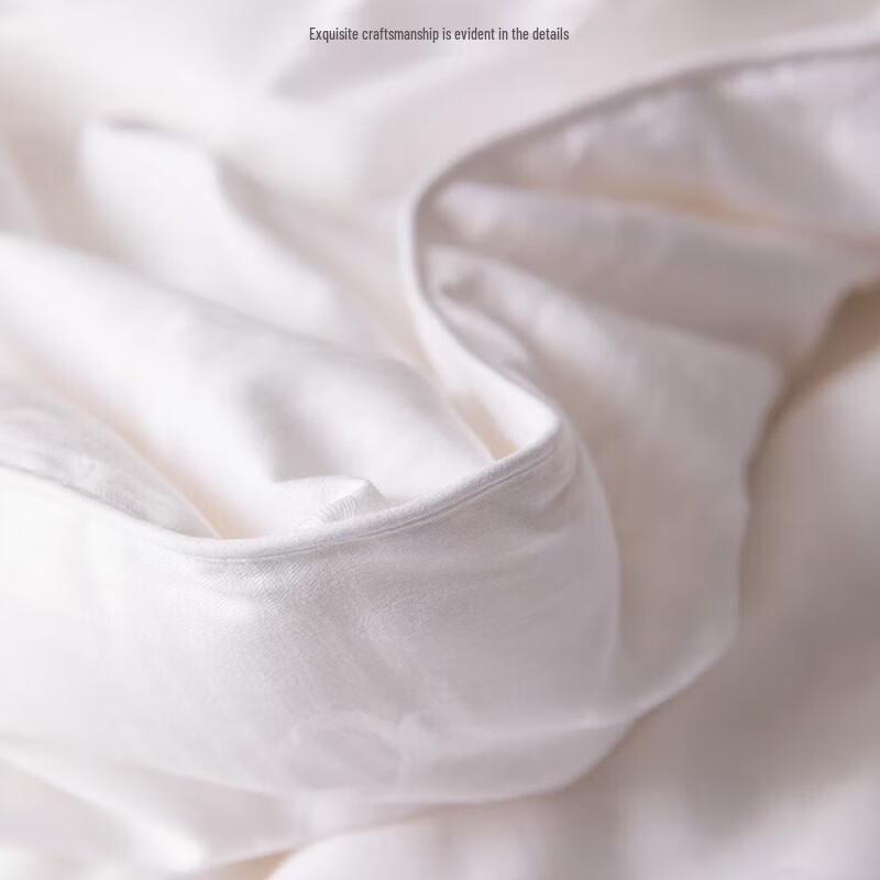 BAQIANHUSI Premium Mulberry Silk Quilt