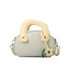 Today's popular niche design bags for women's new women's versatile messenger bags, portable shell bags
