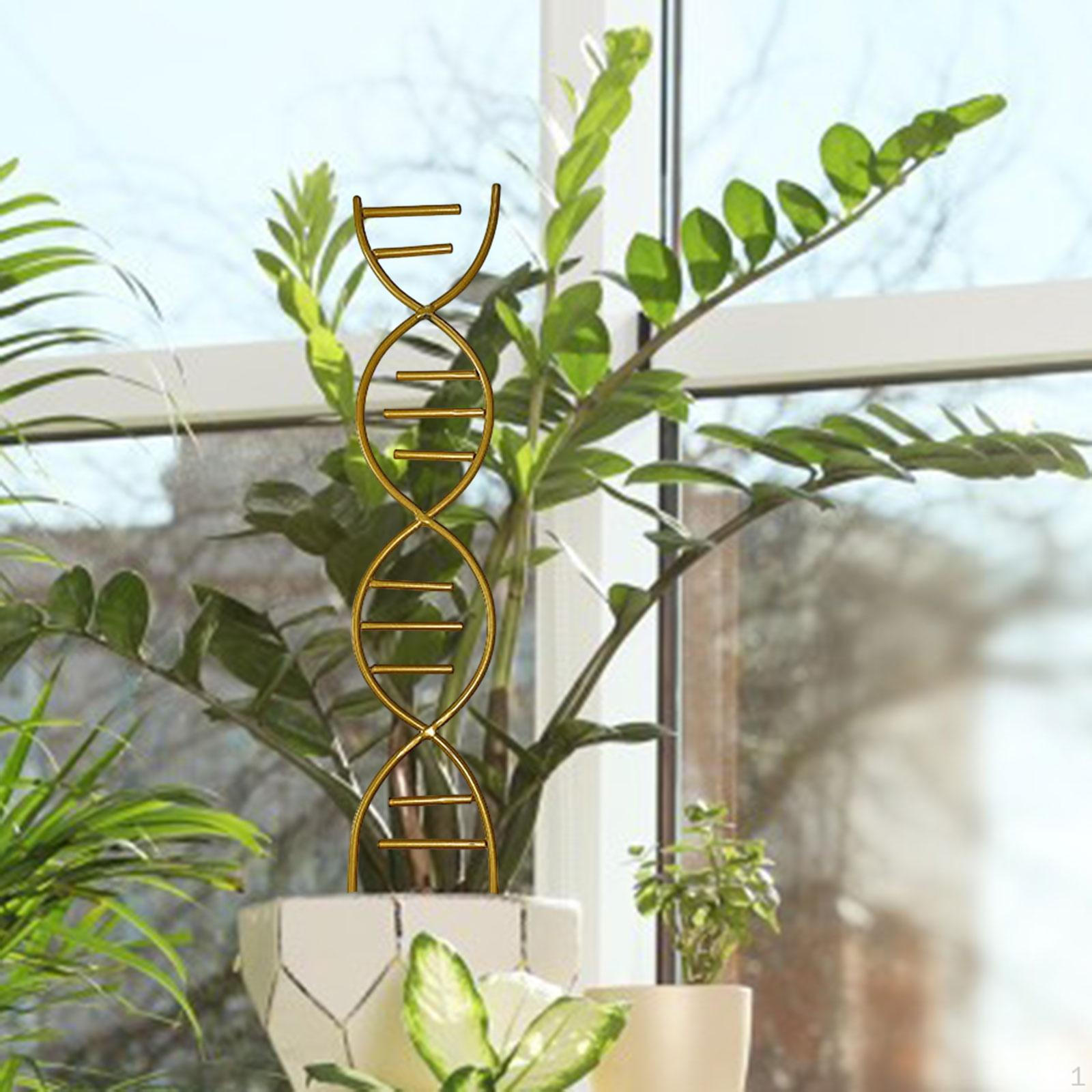 

Завод шпалера DIY восхождение садовые клетки для комнатных растений