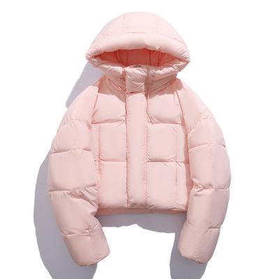 Jachetă nouă de iarnă pentru femei, cu puf și umplutură de bumbac, Jachetă scurtă cu umplutură de bumbac, Foarte arătoasă, Studentă coreeană, Jachetă scurtă tip pâine