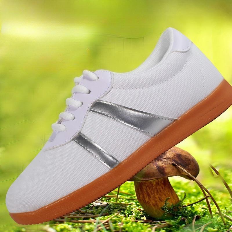 Martial Arts Tai Chi Kung Fu Shoes Taekwondo Wushu Karate Sports Training Shoes Traditional Chinese Canvas Shoes