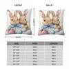 Easter Day Bunny Easter Eggs Pillow Cover Cushion Cover Graphic Pillow Case Cute Funny Pillowcases For Sofa Car Home Decor