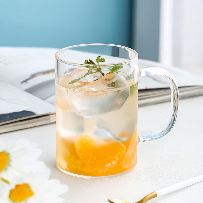Anpiao Heat-Resistant Glass Drinking Mug