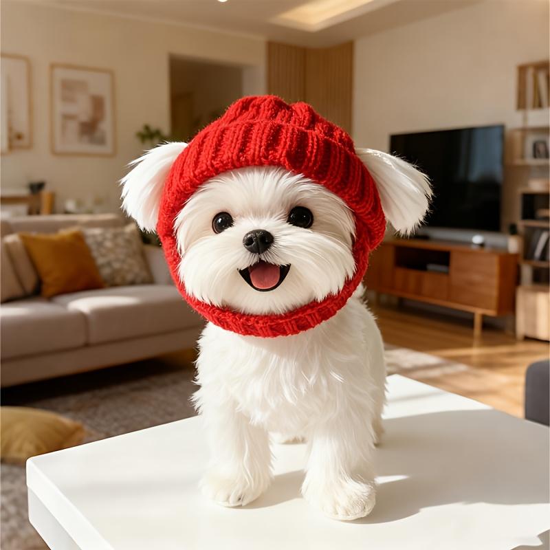 1PC knitted wool hat, open-ear headgear, outdoor indoor warmth, autumn and winter warmth and windproof Halloween knitted magic dog hat