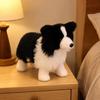 Dekoratives Langhaar Border Collie Weiches Spielzeug Kuschelig