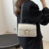 Stylish Fall Season Chain Crossbody Bag For Women Trendy Small Handbag 2024
