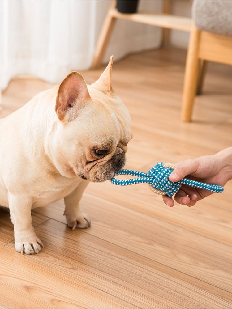 Langlebiges Hundekauspielzeug Seil Knotenball Für Kleine Welpen Bissfest Zähne Reinigen Selbstspiel Langeweile Linderung Haustierbedarf