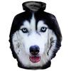 Modischer Kinder Hoodie Tiergrafiken Langarm Fuchs 3D Druck Junge Mädchen Sweatshirt Streetwear Locker Kinderkleidung Oberteil