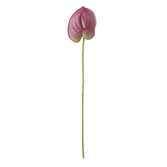 1 Branch Faux Silk Flower Fresh-keeping Long-lasting 3D Printing Trendy Beautiful Artificial Anthurium Office Decor