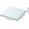 VidaXL Panneaux d'étagère 2 pcs Verre Transparent 30 x 30 cm