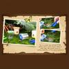 8pcs Clear Insect Observation Kit Plastic Insect Collection Box  Science and Nature Exploration Set