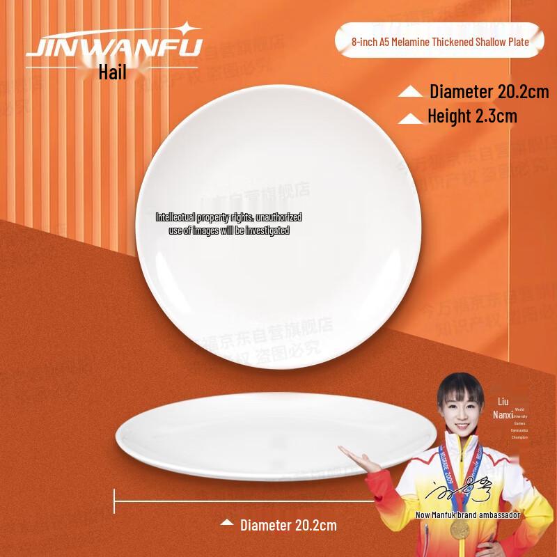 Commercial Melamine Serving Plate