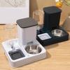 2 In 1 Automatic Pet Feeder Cat Feeder And Water Dispenser Pet Food And GravityAnd Waterer