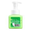 Blue Moon Foam Antibacterial Hand Soap