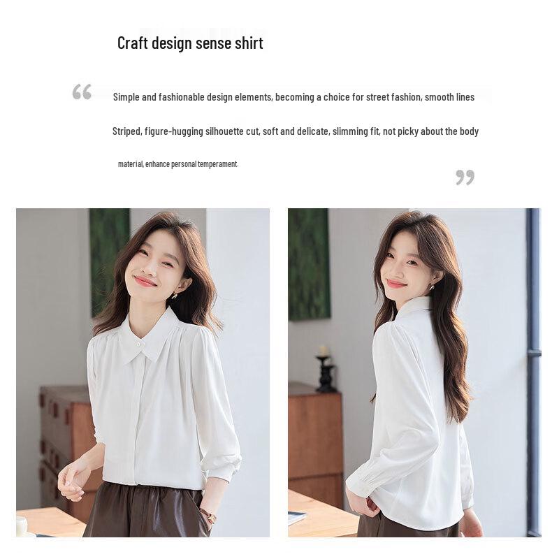 Women's Long Sleeve Professional Blouse
